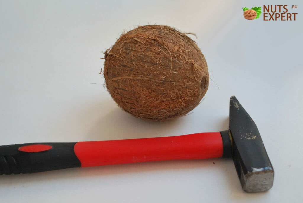Как легко расколоть кокос в домашних условиях
