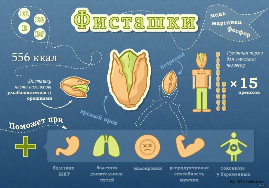 Инфографика: польза фисташек на организм