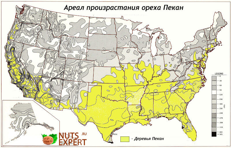 Ареал распространения деревьев Пекан в США