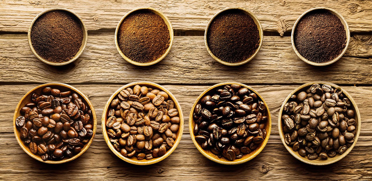 Легендарный кофе: где появился, как растет и собирается, выращивание кофейного дерева дома
