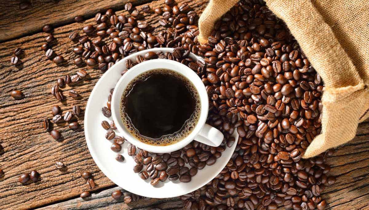 Как получают кофе и способы изготовления