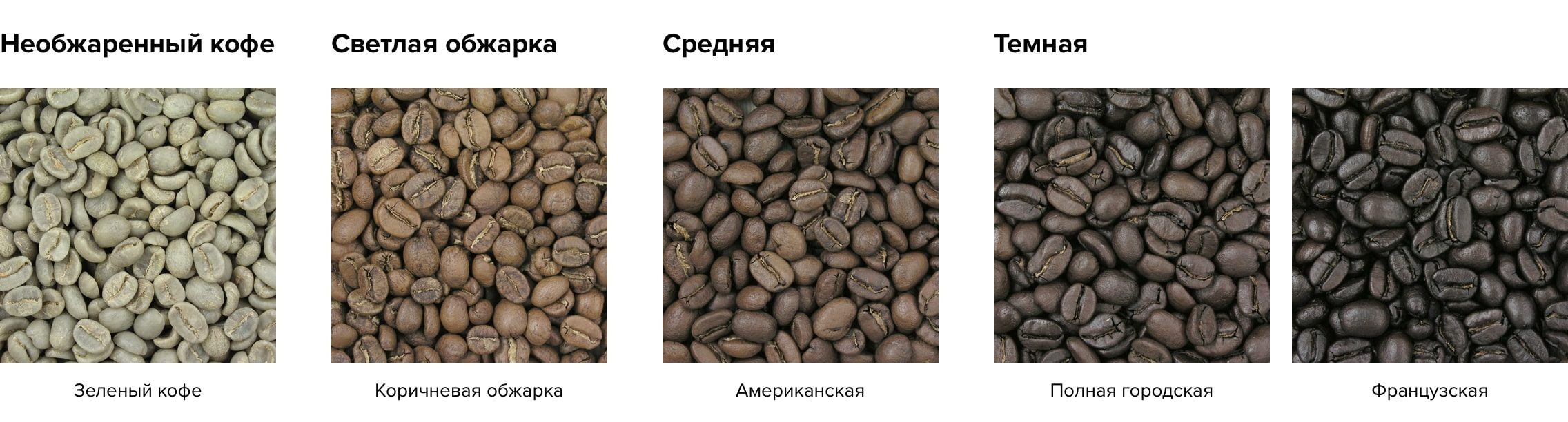 Кофе в зернах арабика: виды и сорта кофе
