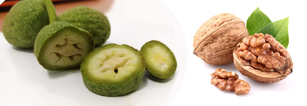 Зеленый и спелый орех