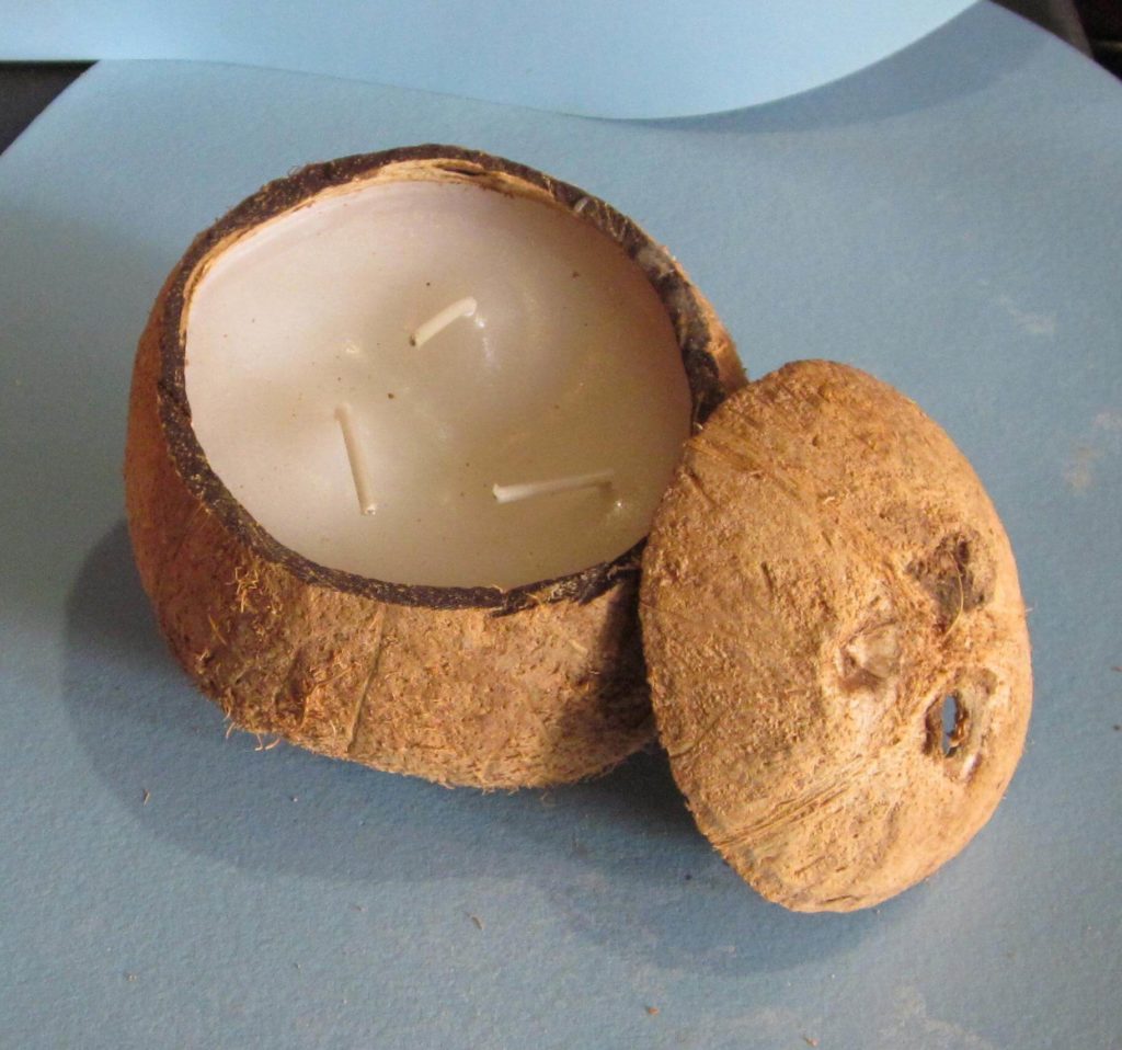 Что можно сделать из кокосовой скорлупы