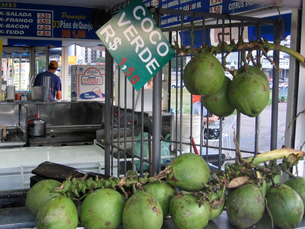 Мякоть кокоса: польза и вред, применение