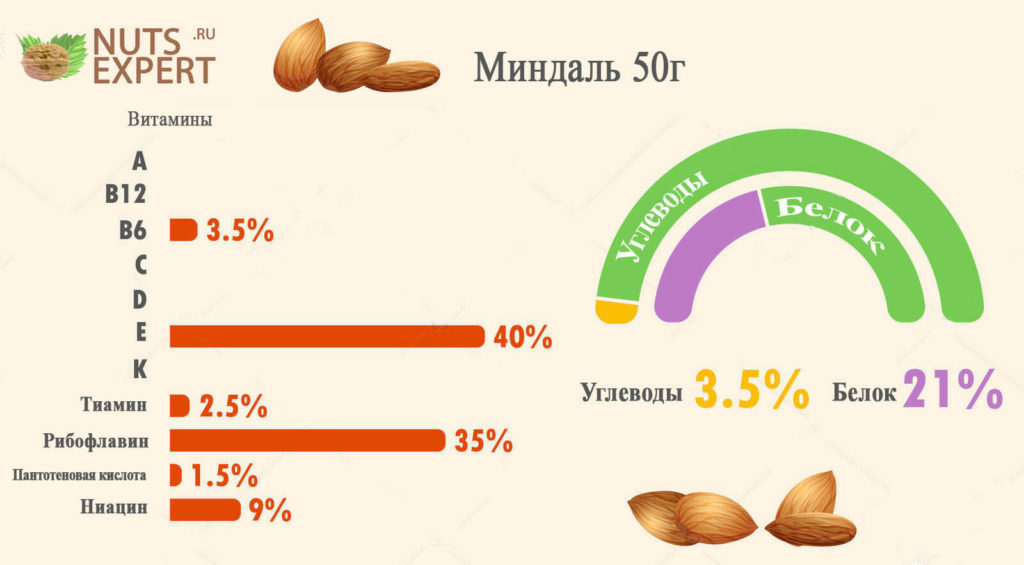 Инфографика миндаля, таблица: витаминов, углеводов и белков