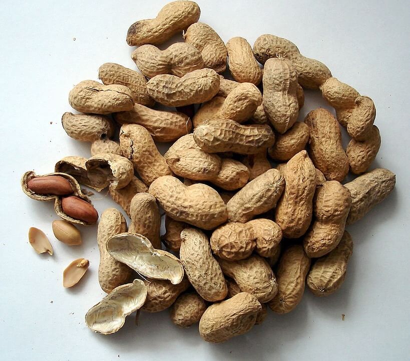Калорийность арахиса в различных формах и видах
