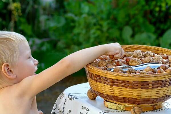 Кедровые орехи польза и вред для детей