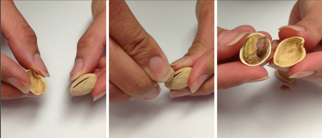 Вскрытие ореха руками с помощью скорлупы