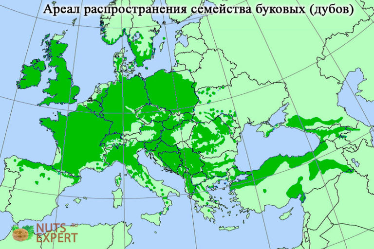 Трюфель карта распространения