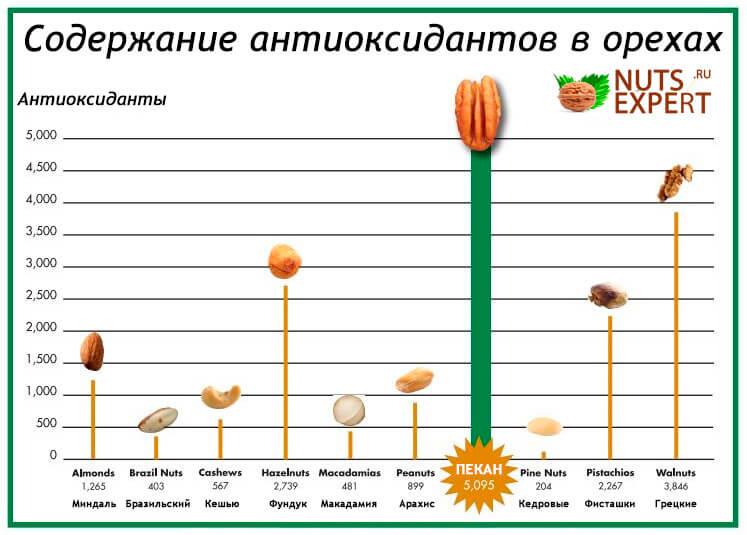 Инфографика: сравнение содержания содержания антиоксидантов в орехах